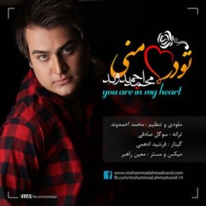 محمد احمدوند تو در قلب منی