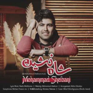 محمد شیبانی شاه نشین