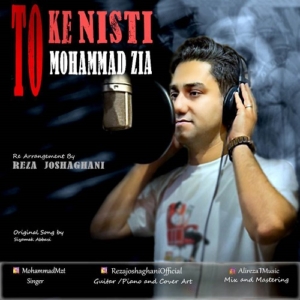 محمد ضیا تو که نیستی