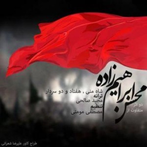 محسن ابراهیم زاده شاه منی