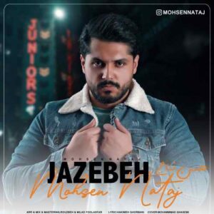 محسن نتاج جاذبه