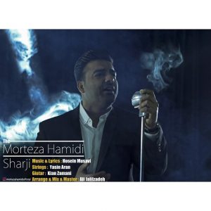مرتضی حمیدی شرجی
