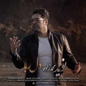 نوید محمد زاده دلربا