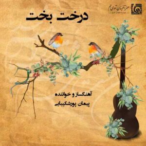 پیمان پورشکیبایی درخت بخت