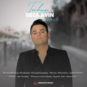 رضا آوین تنهایی