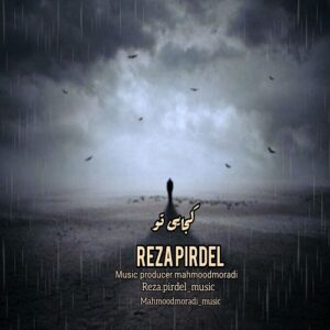 رضا پیردل کجایی تو