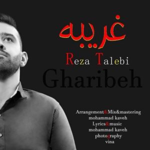 رضا طالبی غریبه