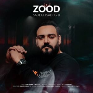 صادق صادقی زود