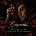 سعید شهروز بی گناهی