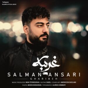 سلمان انصاری غریبه