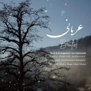 سارا اقتصادی عریانی
