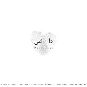 شروین حاجی پور دائمی