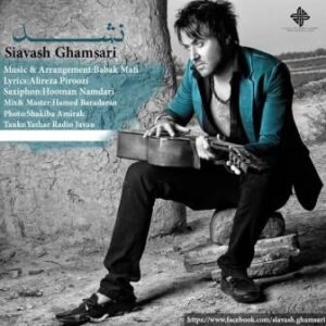 سیاوش قمصری نشد