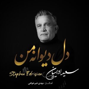 استفن ادریسیان دل دیوانه ی من