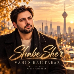 وحید حاجی تبار شب شعر
