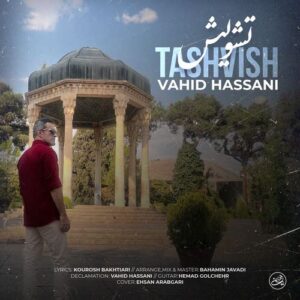 وحید حسنی تشویش
