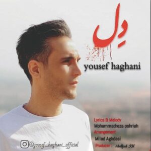 یوسف حقانی دل
